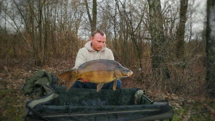 karpie z zimnej wody