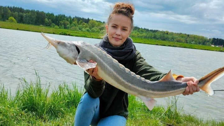 How does weather affect fish activity?