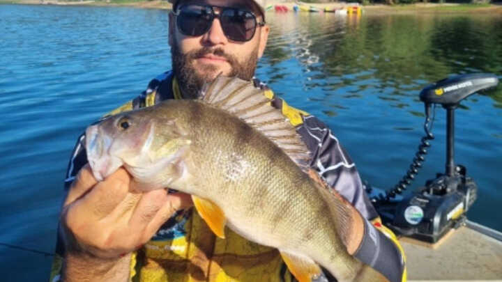 The Italian way of perch fishing with Riccardo
