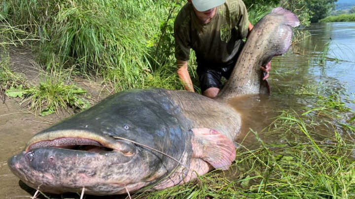 Základy lovu SUMCE | ČÁST 2. |