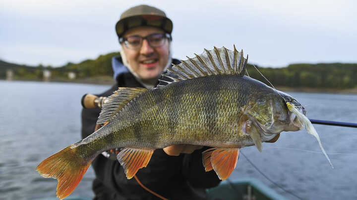 OKOUNÍ DUEL / přívlač versus moucha