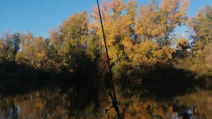 Pues otro día de pesca más :)