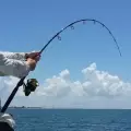 Sea fishing rod