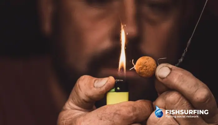 Boilies je nástraha na kapry, ktorá je účinná počas celého roka.