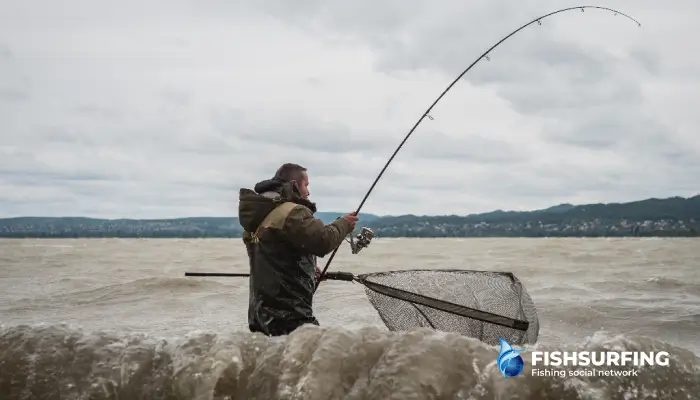 Kapor chytený na dno, najčastejší spôsob lovu kaprov.