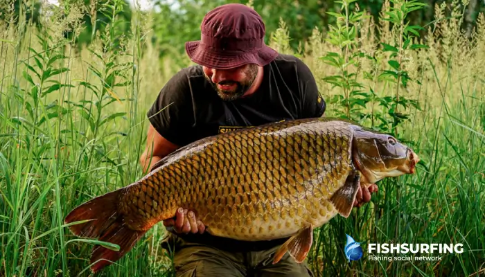 Kapor ulovený technikou zig rig pri love z hladiny v lete.