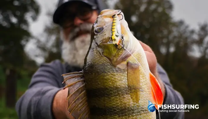 Rybár pri aktívnom štýle prívlače.