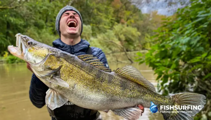 Ako úspešne loviť dravé ryby