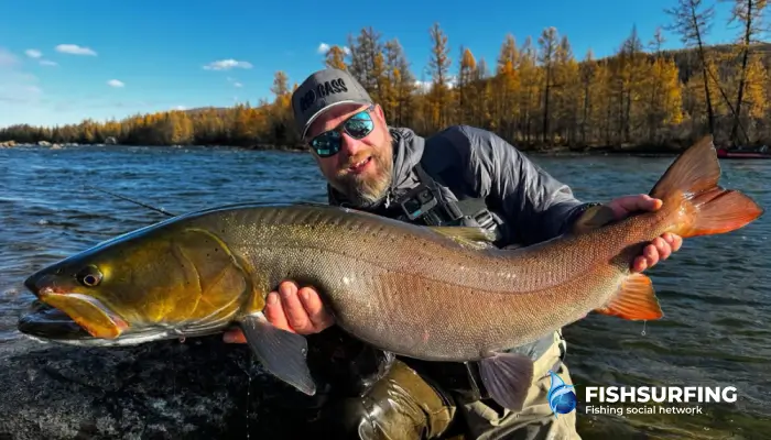 Tajmen ulovený na prívlač na divokej mongolskej rieke.