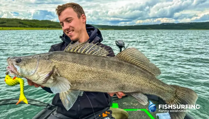 Trolling je jednou z najobľúbenejších rybolovných techník.