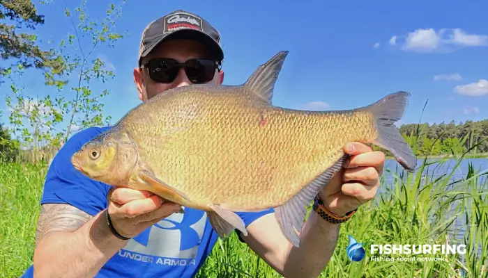 Feeder je najuniverzálnejšia technika lovu rýb.
