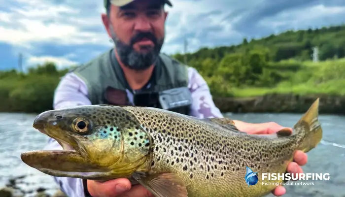 V Českej republike sa nachádza niekoľko skvelých pstruhových revírov.