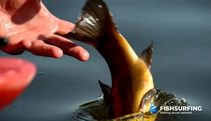 Rybárska etika je základnou znalosťou každého rybára.