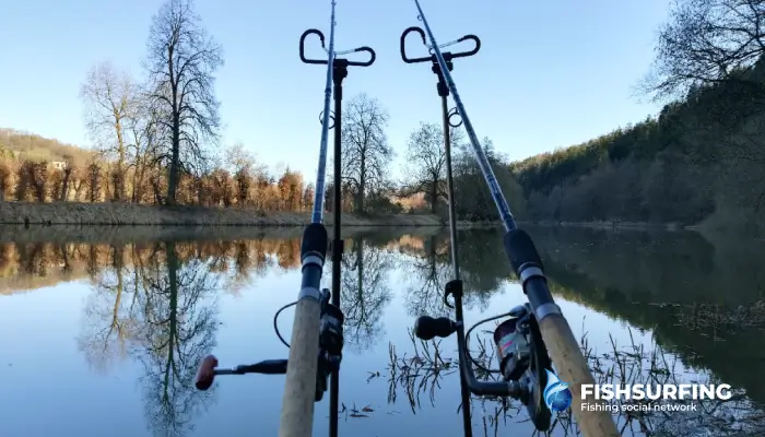 Zimné kŕmenie je jednou z najúspešnejších techník. V tomto období je rozhodujúca jemnosť a citlivý prístup.