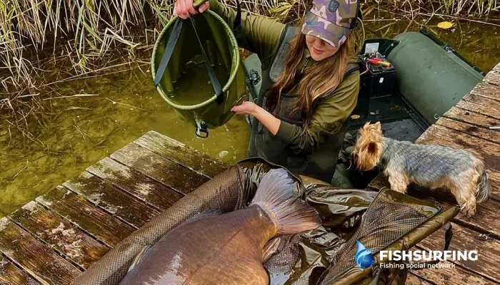 Spolu s vetrom migrujú najväčšie kapry na veľkých plochách. Komu by chýbala ľahko dostupná potrava na náveterných brehoch?