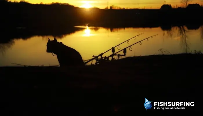 Počas letného západu slnka je záber doslova vo vzduchu.
