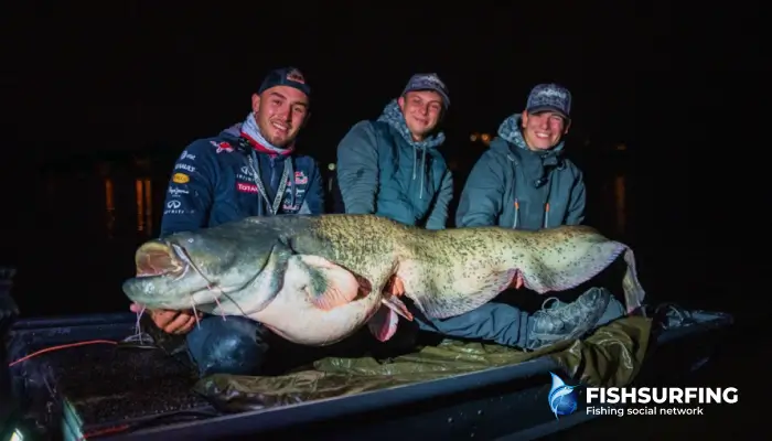 The period before the first cold snap is very successful every year.