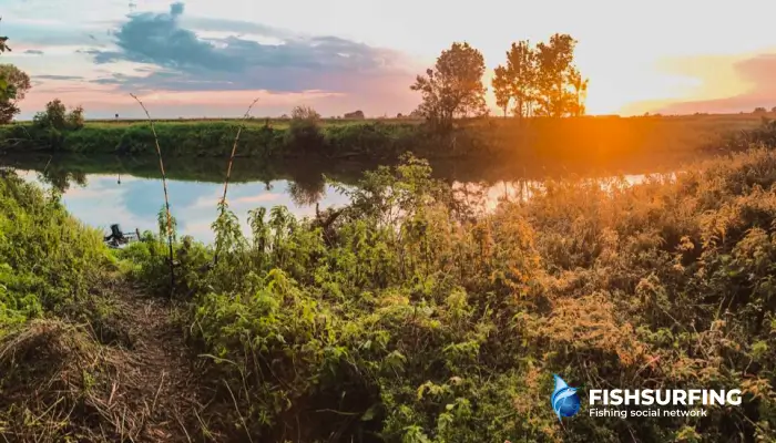 The river Dyje and its picturesque corners are among the most beautiful fishing grounds in our country.