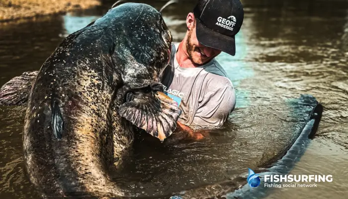 Catfish fishing has completely absorbed many anglers and has become their number one hobby. Will you be one of them?