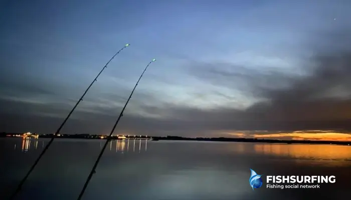 The feeder is a game of spikes, whatever its design.