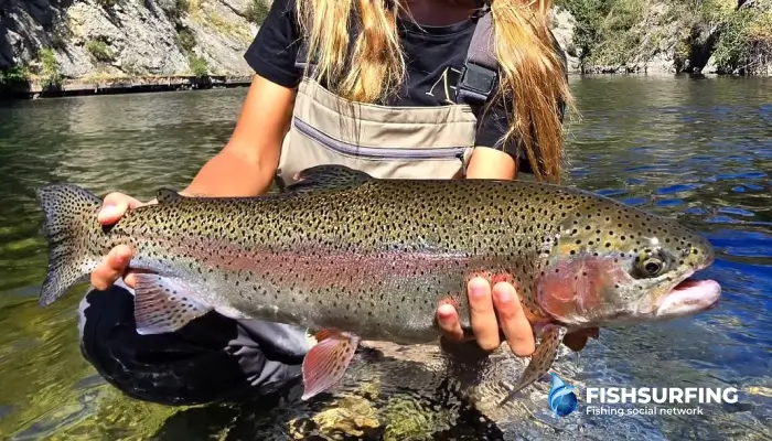 Salmon fishing is typical of fly fishing. Naturalness and perfect imitation of natural lures is often the key to success.