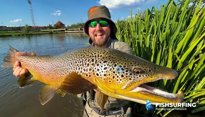 The lure is the angler's most powerful weapon. Now you know when and where to reach for it.