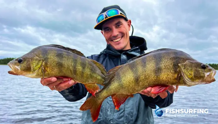 How to keep a fishing diary: Tips and tricks to improve your catches