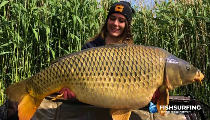 Carp is a fish of rather calm parts of the fishing grounds.