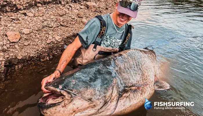 Catfish love the calmness and hiding places provided by old river beds and large obstacles on the bottom of the river.