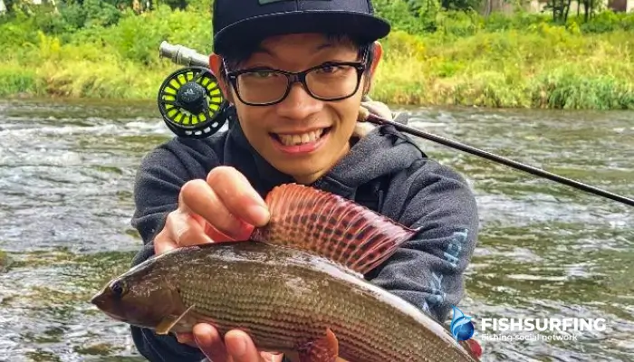 Bends, current edges and oxygenated sections are among the hot zones on trout fishing.