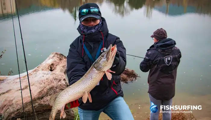 At some competitions, you even fish in teams.