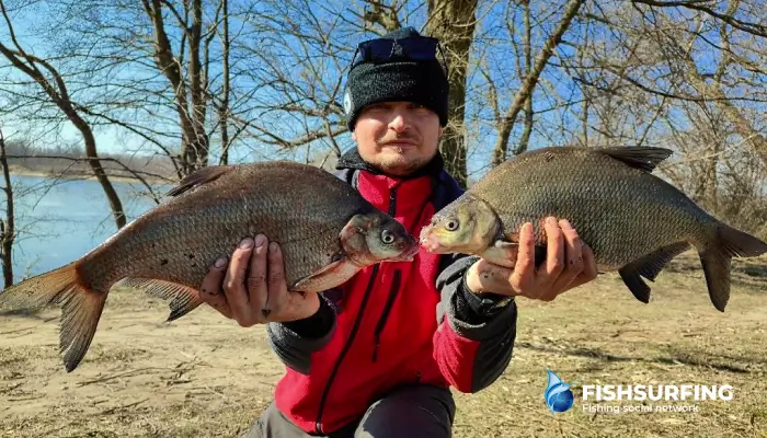 Bream are never alone. If you get a hit, the fun will be taken care of.
