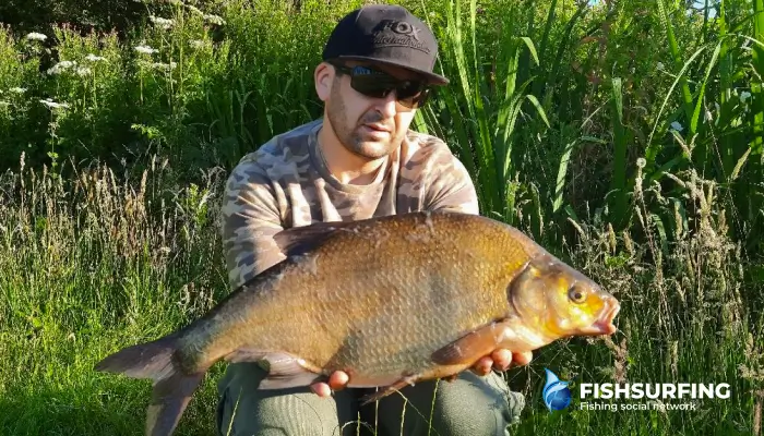 Giant bream often prefer smaller baits, but every day at the water has its own specifics.