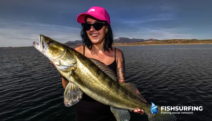 How to handle a candace in summer and winter? Tactics, lures and where to look for it