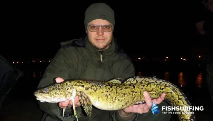 Fishing calendar: when to catch what fish