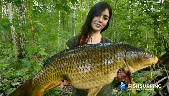 Spring belongs to the big carp.