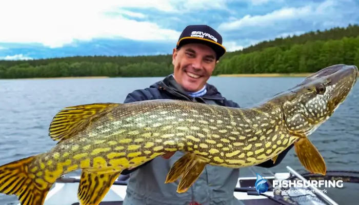 With the first cool-down of autumn comes the right time for pike.