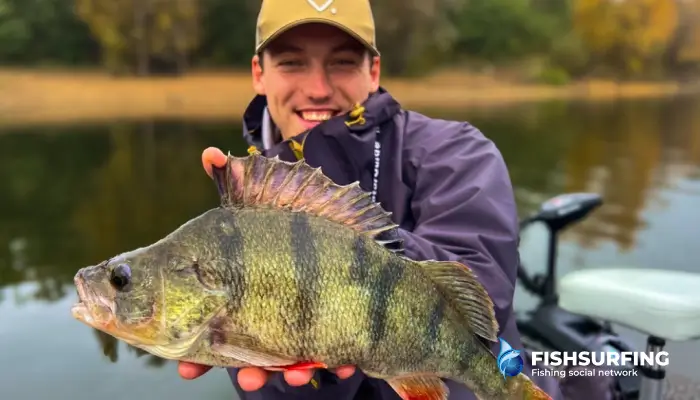 So what are you waiting for, it's time to go!