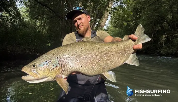 Summer fishing: how to fish actively