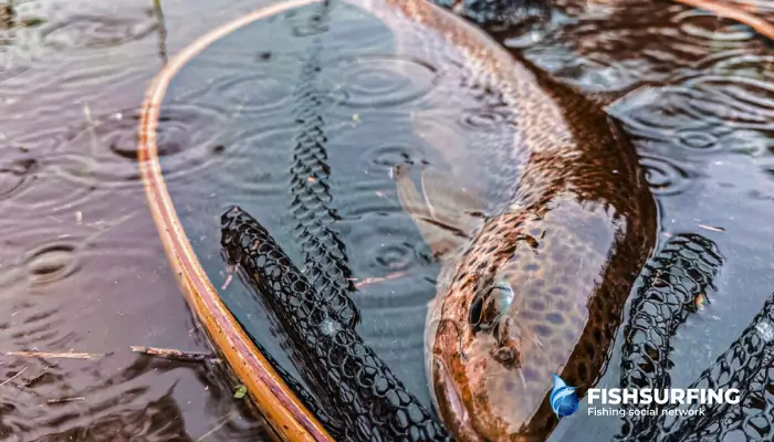 A quick souvenir photo in the summer heat is often enough.