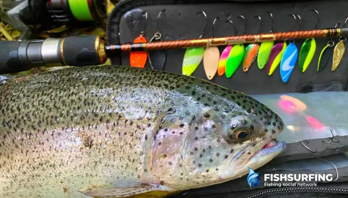 In aggressive trout strikes, the line is definitely useful as a shock absorber, but even here anglers don't always agree.