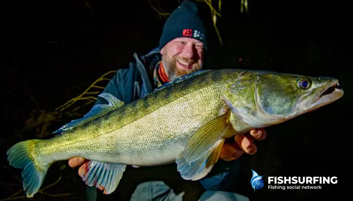 Candates can see very well even in total darkness thanks to several times better use of light than humans.