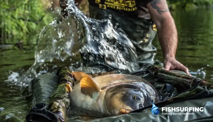 Quickly and in the water is surely the best way to get the fish back intact.