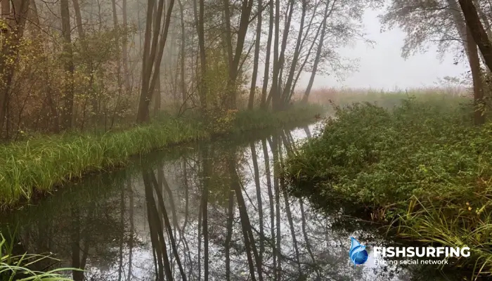 These waters tend to be much easier to read than still waters.