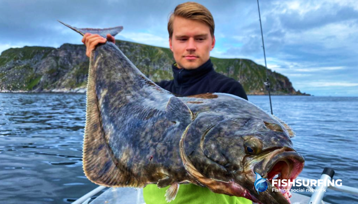 No one can guarantee you success if you don't underestimate anything, but you can expect to catch some beautiful fish.