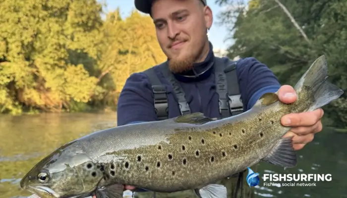 A well-presented fly in the right spot was rewarded with this beautiful brown trout.