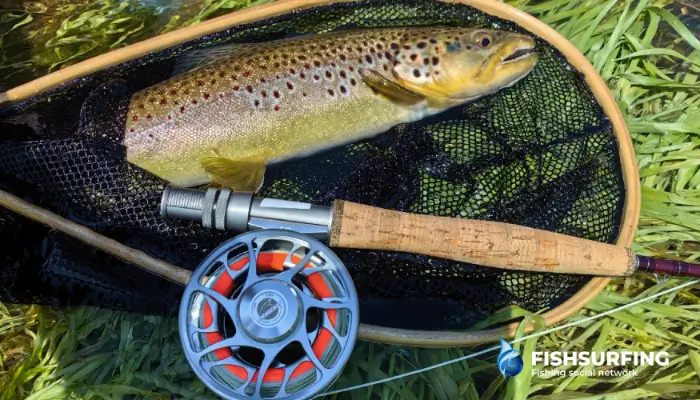 Choosing the right fly for the conditions can make all the difference. Match your fly to the natural food and keep it as natural as possible.