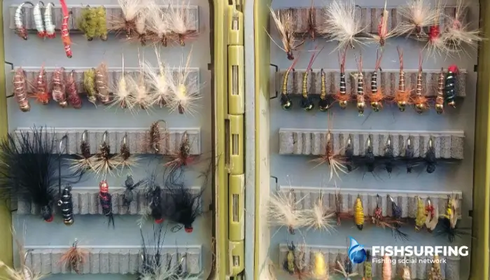 Choosing the right type of fly is essential.