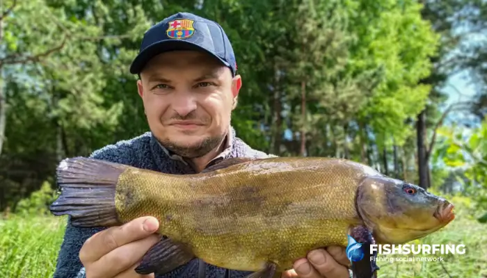 These fish are most active in the early morning and evening.