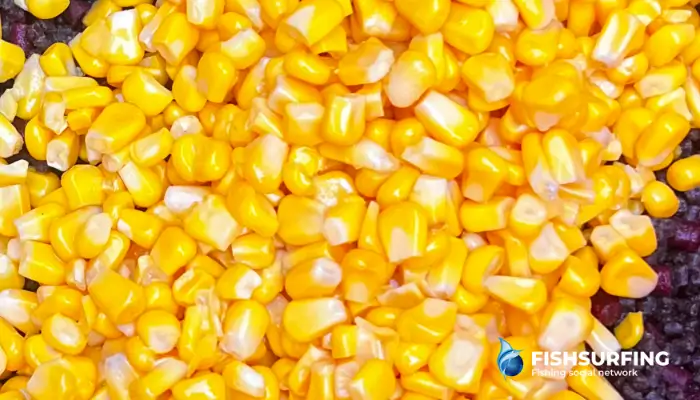 Canned sweetcorn is a classic bait and groundbait, available in almost any grocery store.